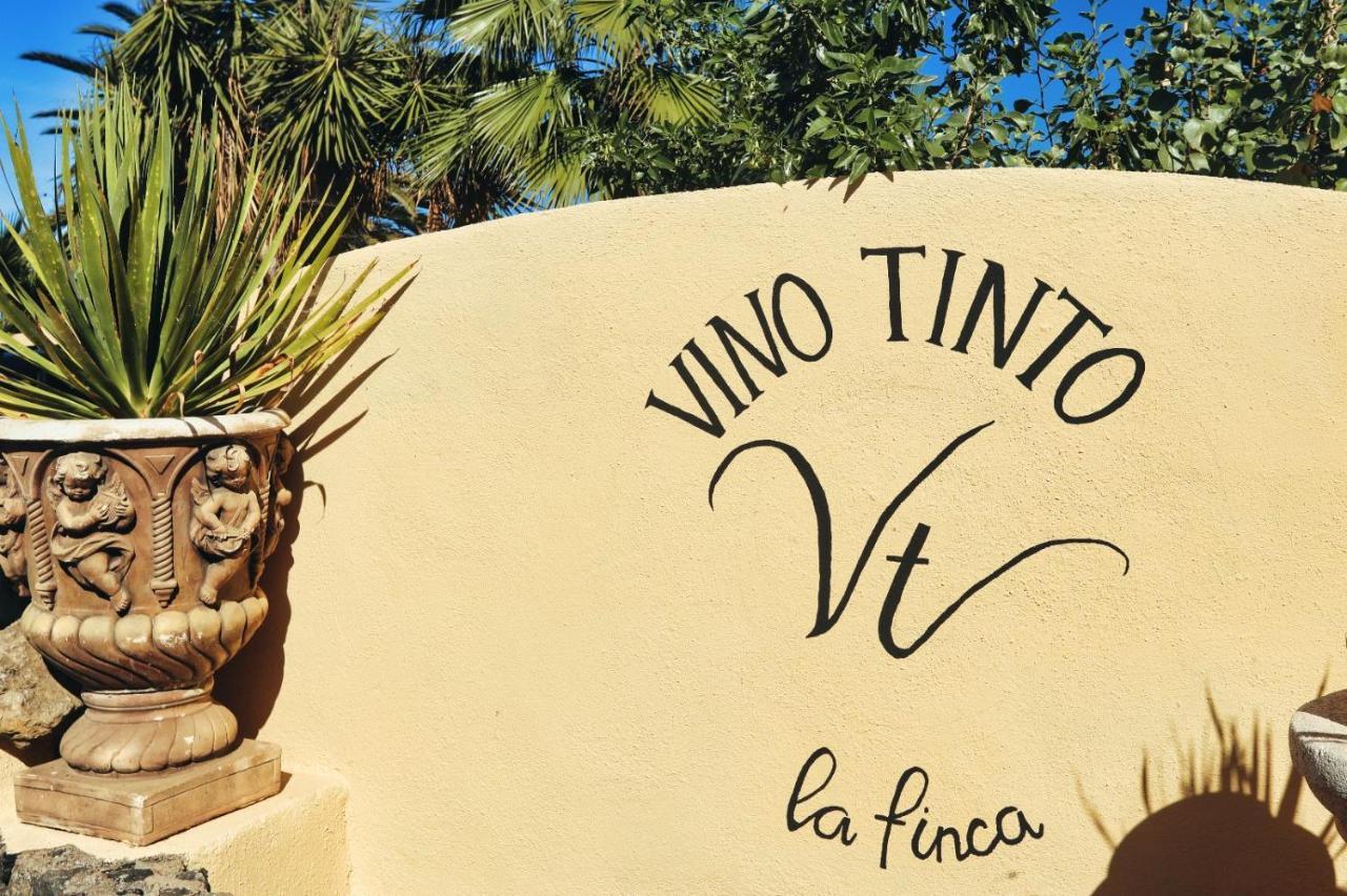 Finca Vino Tinto 2 Icod De Los Vinos Exteriér fotografie